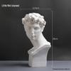 David Head Bust: Plaster Sculpture for Art Students & Teaching Aids