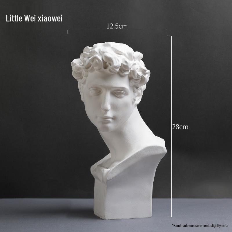 David Head Bust: Plaster Sculpture for Art Students & Teaching Aids