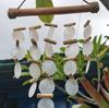 Wind Chimes Driftwood Pearl Effect