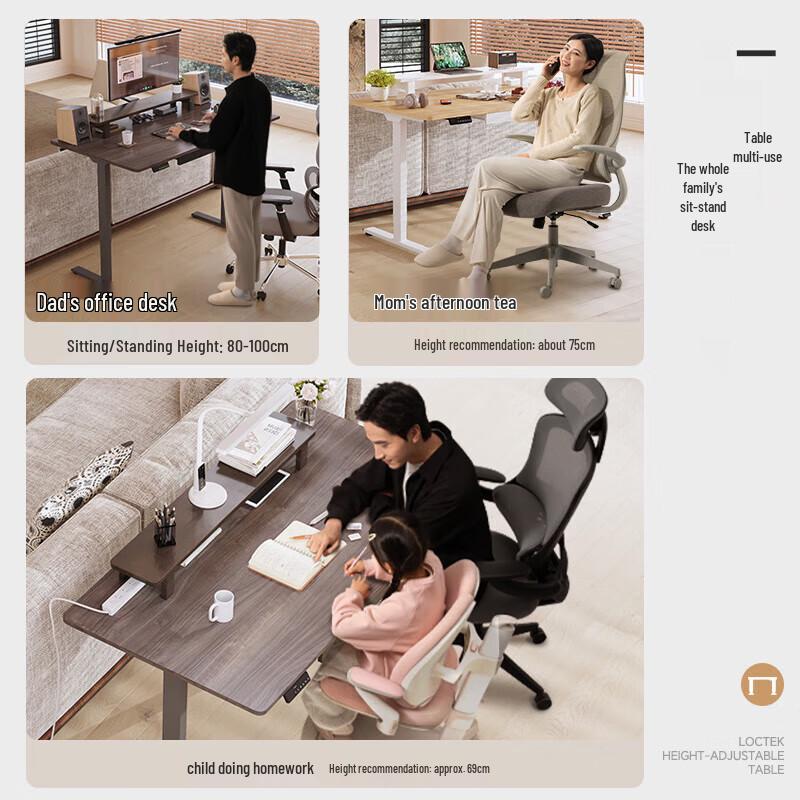 Loctek EM3 Electric Standing Desk