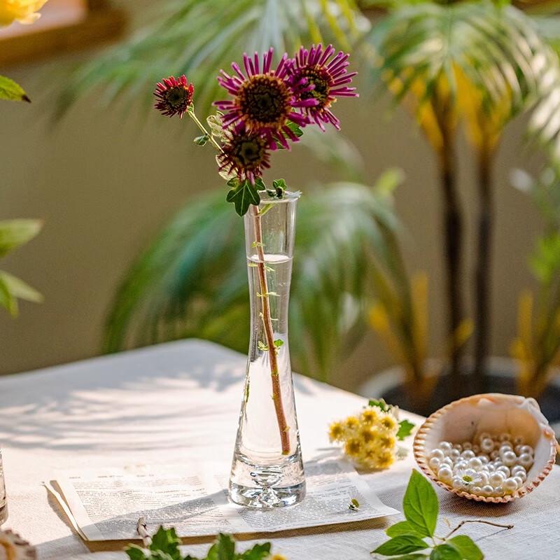 Hánwèi Decorative Glass Vases & Hydroponic Planters