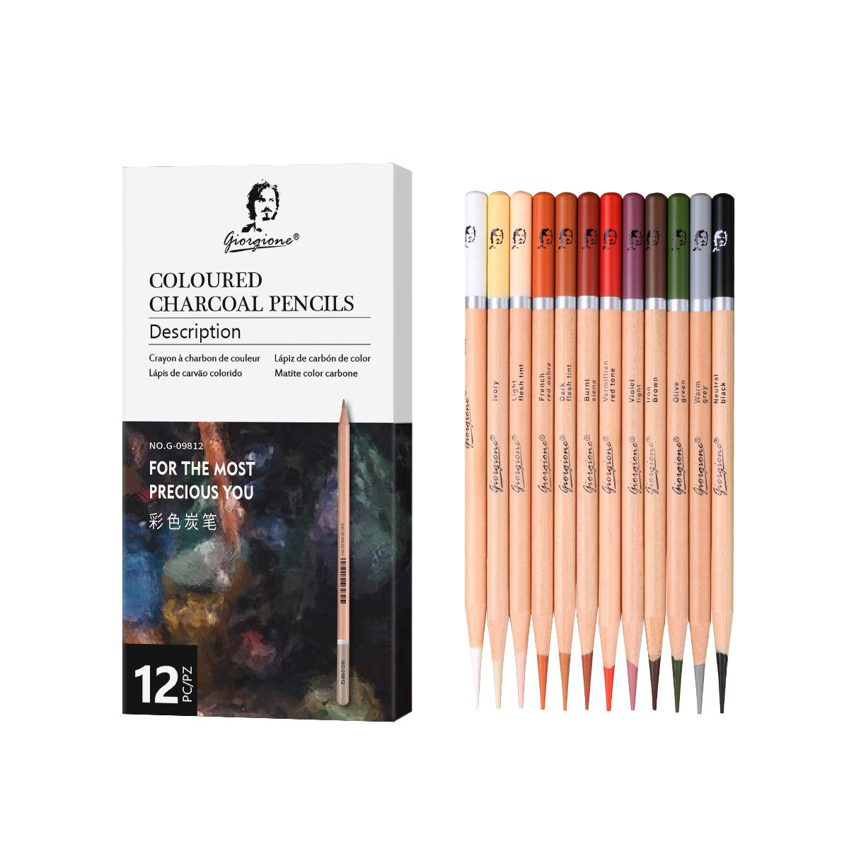 Set van 12 Professionele Tekenkoolpotloden Set Pastel Mat Gekleurde Potloden voor Student Tekenen Teken Kunstbenodigdheden