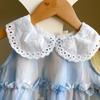 Girls' Floral Embroidered Sleeveless Dress with Peter Pan Collar