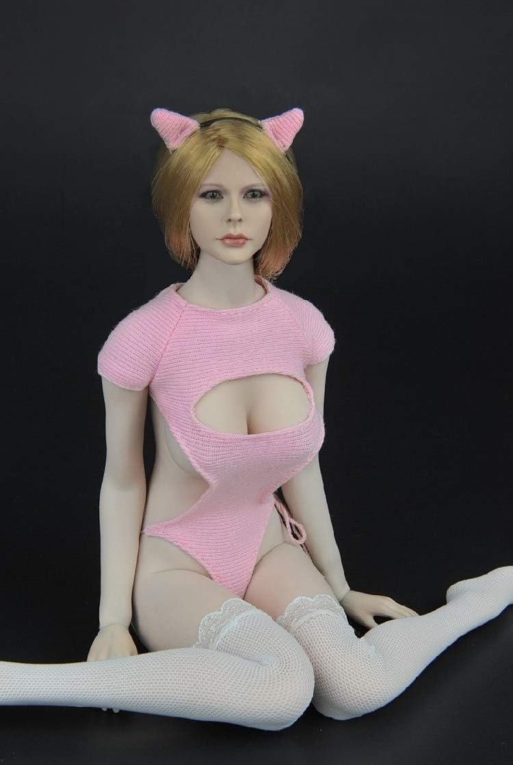[TOYBARJAPAN] ZYTOYS ZY5027B Beautiful Sexy Female Cat Clothes Set for 16 Action Figure (Body and Head Not Included)