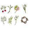 Nature Theme Corsage Pin Plant Shape Brooch Unique Pin Clothing Brooch Alloy Texture for Friendship and Celebration