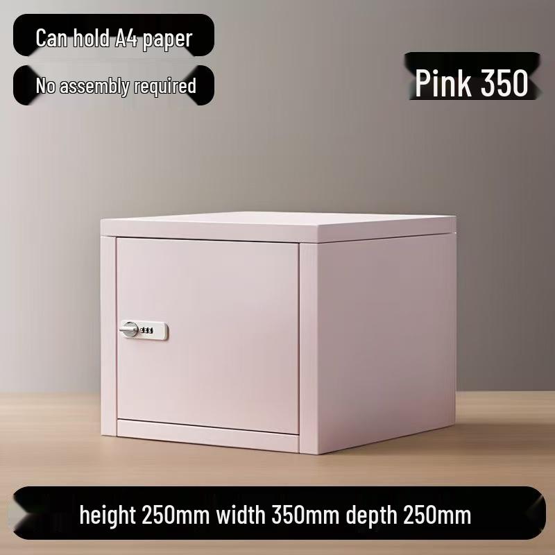 Lockable Steel Desktop File Organizer for Home or Office