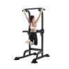 Jiurishan Indoor Pull-Up & Dip Station