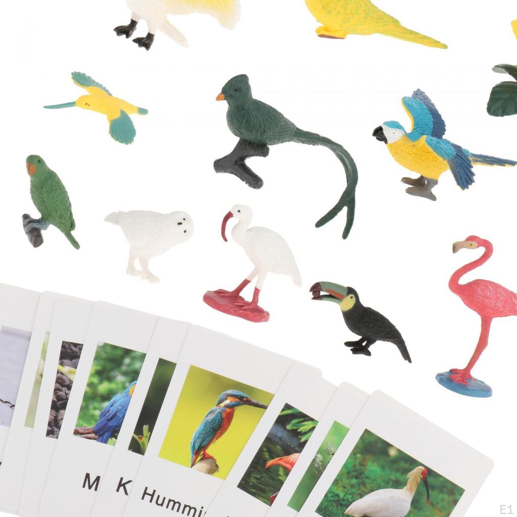 Montessori Animal Figures with , Language Materials, Realistic Figures, Toys for Preschool