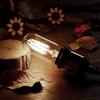 Dimmable T45 LED Edison Bulb,2700K Warm White,6W Antique Tubular LED Filament Bulbs,60 Watt Equivalent E26 Base,550Lm,Pack of 6