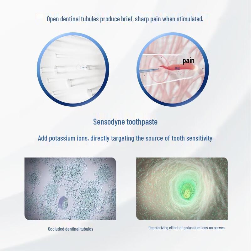 Sensodyne Sensitive Gum Fresh Whitening Toothpaste
