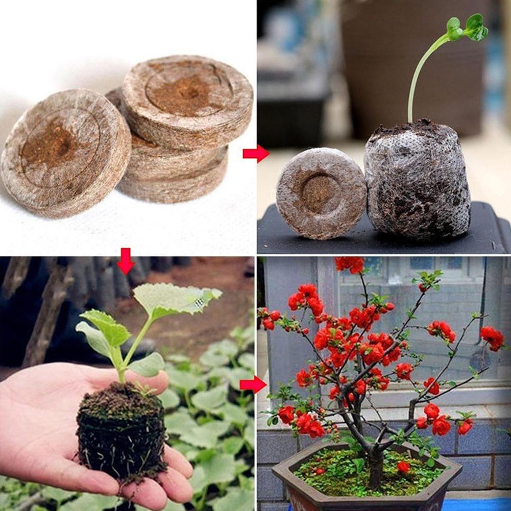 Seed Starter Soil Plugs Plant Fiber Nursery Blocks Peat Soil Pellets