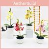 Simulated Phalaenopsis Potted Artificial Artificial Flower Ornament Desktop