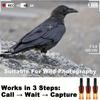Krähenruf Vogel Lockvogel Gerät, Outdoor Krähen Anzieher & Vogelruf Simulator für die Jagd