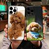 Funda Coque Cover for Samsung Galaxy A55 A56 A25 A36 A54 S8 S9 S21 S20 FE A53 A13 A12 A14 A33 A70 A71 A51 A21S Case Poodle Dog