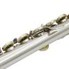 SLADE 16-Hole Closed Flute Nickel-Plated Transverse Flute | Dual Head Joints Set for Children's Concert & Practice Pro Flute