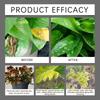 Soil Activators and Plant Nutrition Garden Beds for Cultivation Potting Mix Seedling Compost Promoting Plant Rooting