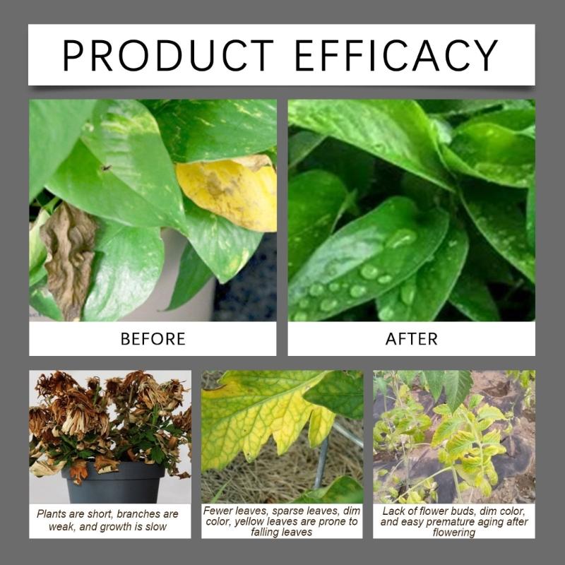 Soil Activators and Plant Nutrition Garden Beds for Cultivation Potting Mix Seedling Compost Promoting Plant Rooting