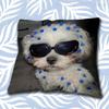 FFreya Skye Singer Pillow Case Short Plush Sofa Decorative Gift Home Doublesided Printing Cushio