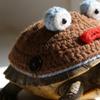 Frogs Styles Pet Turtles Clothing Elastics Fabric Machine Washable Knitted Frogs Costume For Reptiles Lover