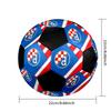 SIZE 5 GNK Dinamo Zagreb Soccer Ball Colorful All Ages Machine Stitched PVC Competition Ready Durable High-Bounce