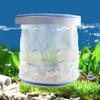 Aquarium Isolation Box Fish Hatchery Net Fish Tank Breeding Isolation Hatching Net Small Fry Breeding Box Fish Care Supplies