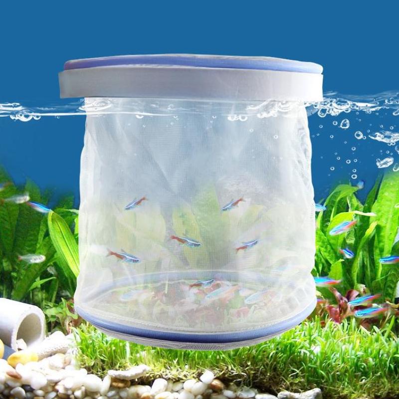 Aquarium Isolation Box Fish Hatchery Net Fish Tank Breeding Isolation Hatching Net Small Fry Breeding Box Fish Care Supplies