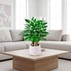 Mini-Blumentopf mit Selbstbewässerung, Aquarium, transparente Blumentöpfe aus Kunststoff, selbstbewässernder Pflanztopf, Vase für die Heimdekoration