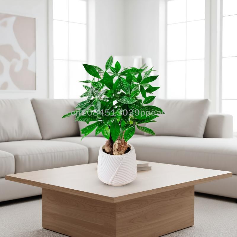 Mini-Blumentopf mit Selbstbewässerung, Aquarium, transparente Blumentöpfe aus Kunststoff, selbstbewässernder Pflanztopf, Vase für die Heimdekoration