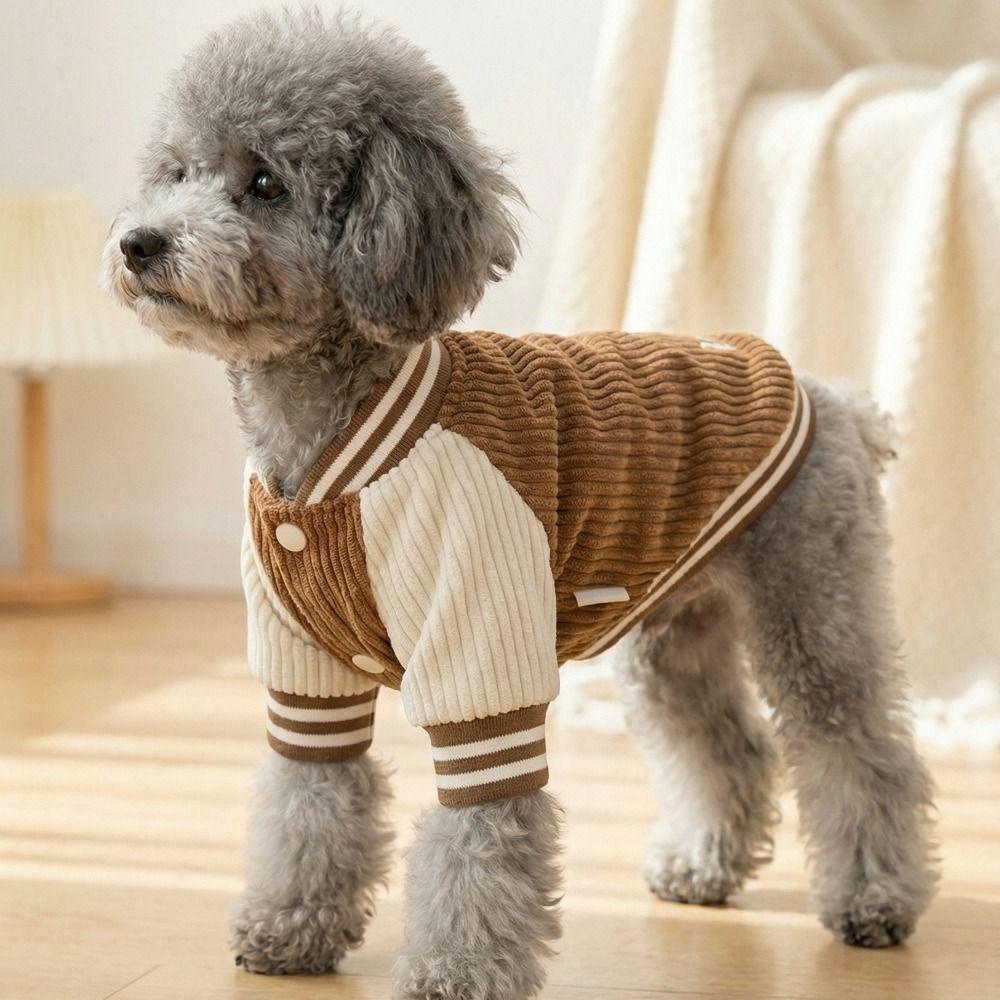 Warme zweibeinige Hundekleidung Bequemer Hundemantel Haustierkostüme Haustier-Baseballjacken Hundeshow