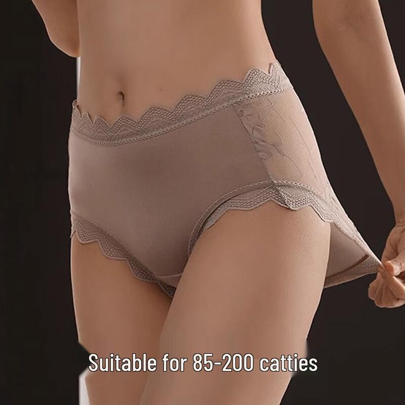 FitonTon Women's 2-Pack Sexy French Lace Sheer Briefs