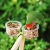 With Clip Bird Cage Feeder Transparent Pet Bird Feeder Parrot Food Bowl  Small Pet Bird