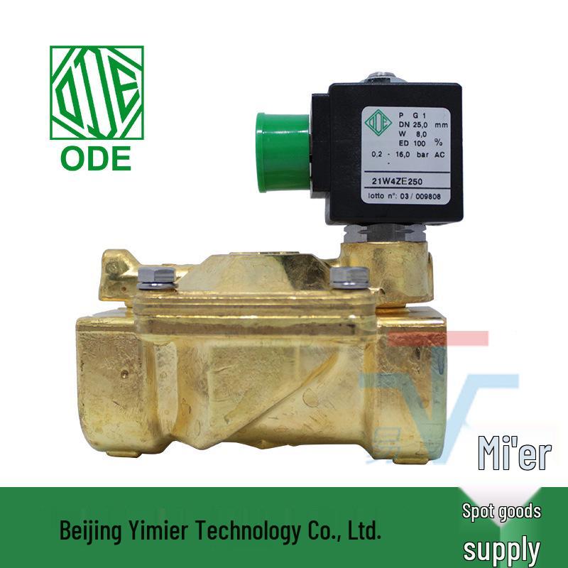 21W4ZE250 DN25 220V Italy Normally Open Two-Way Pilot-Operated Solenoid Valve