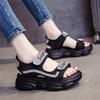 Platform Sandals Women Ins Tide 2025 New Internet Celebrity Korean Version Versatile Summer Dad Shoes Flat Soft-soled Bear Shoes