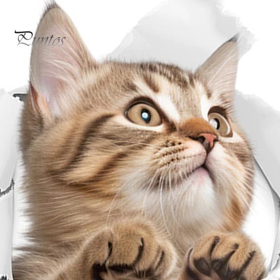 3D Pass Through Cat Toilet Sticker Removable Self-adhesive Waterproof PVC Living Room Bathroom Wall Art Broken Hole Kitten Toilet Lid Decoration Decal