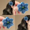 Accessori per capelli – Fermagli per capelli
