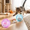 Built-in Plush Animal Interactive Cat Toy Transparent Hamster Chasing Ball  Training