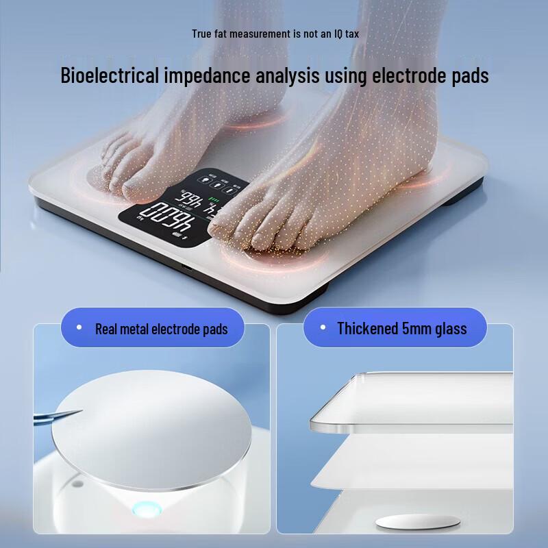 Xiangshan Smart Body Fat Scale (CN version)