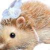 5 '' Reborn Hedgehog Toy Doll Mini for Role Play