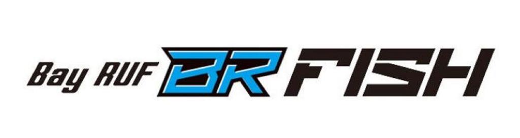 Duo Soft Lure Bay Ruf BR Fish 4 Inch F103 (1258)