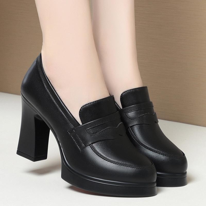 2024 Spring Women's Chunky Heel Platform Pointed Toe Leather Shoes