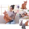 Soft And Cuddly 50cm Cat Pillow Plush Toy Doll Cushion Perfect For Sleep And Play