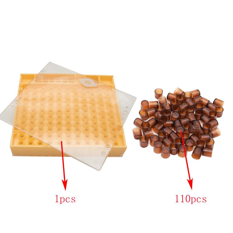 Complete Queen Rearing System Kit King Cultivating Box Plastic Bee Bees Cells Cell Cups Cupkit Cage Beekeeping Tools Supplier