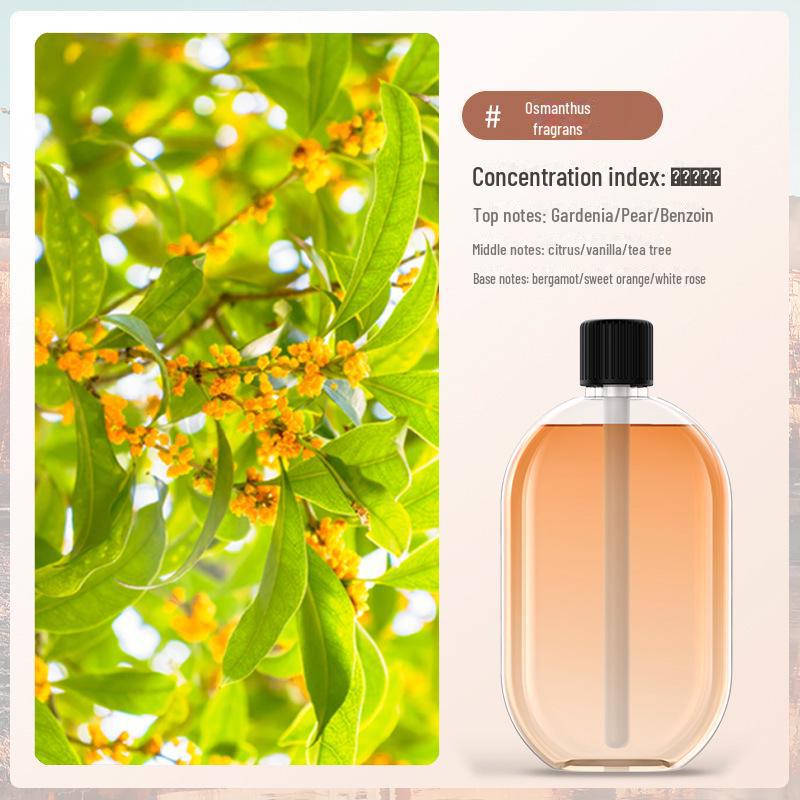 Automatic Aromatherapy Air Humidifier & Freshener - Long-Lasting Deodorant & Fragrance Machine for Room and Toilet