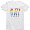 Mens Slogan Novelty T Shirt Sounds Gay Cotton Ring Spun Regular Fit Tee
