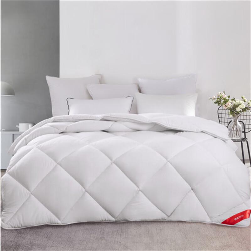 

Mengjie All-Season Soft & Resilient Two-in-One Quilt