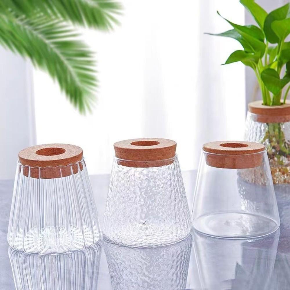 Thick Vase Rack Wooden Base Water Cultivation Vase Modern Style Glass Planter  Office Decoration