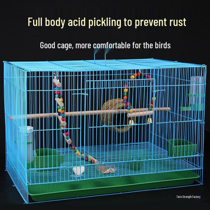 Large Metal Cage for Cockatiels, Myna, Finches, and Tiger Skin Birds