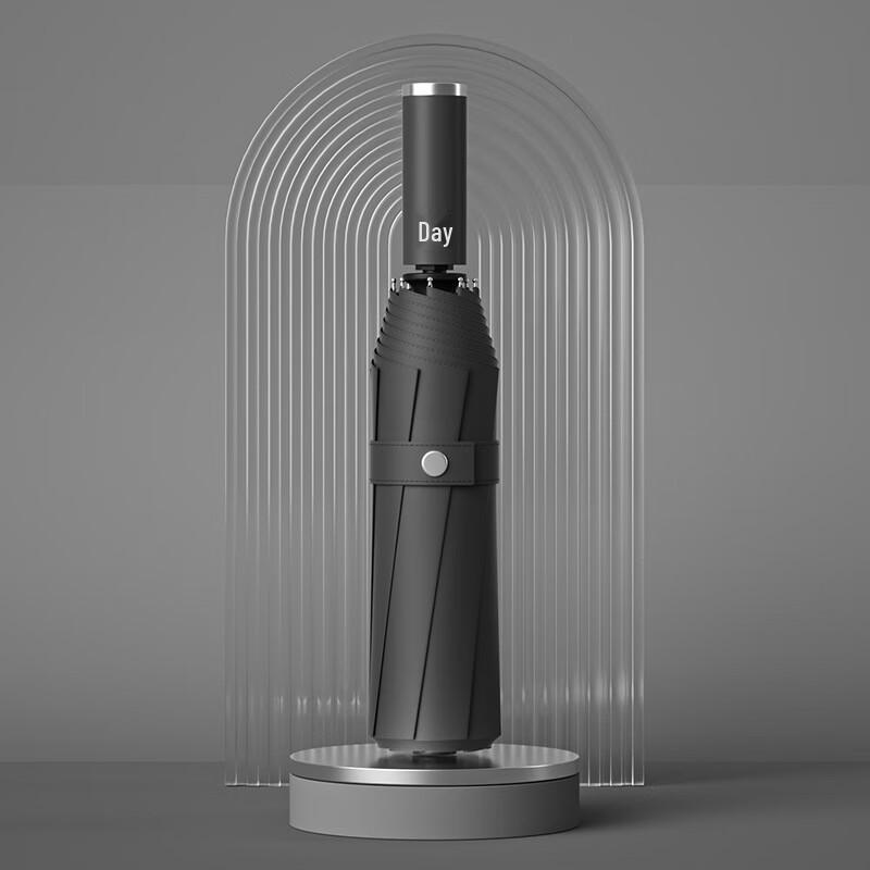 Nanqiao Fully Automatic 12-Rib Sun & Rain Umbrella