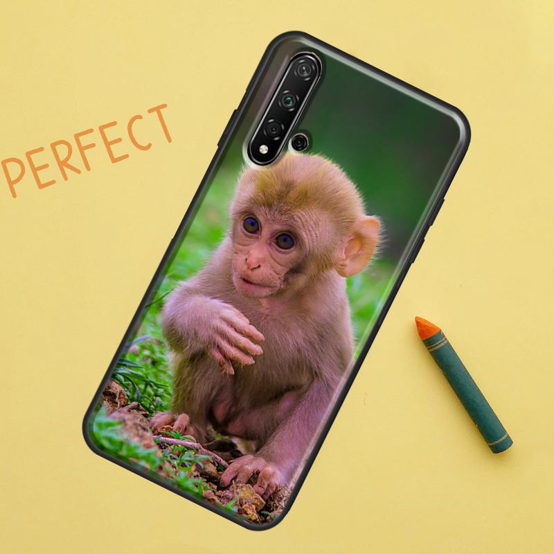 Cute Baby Monkey Animal For Huawei Nova 8i 12i 11i 12s Y73 Y72 Y61 Y91 Y90 Y70 Y60 9 10 SE P30 P40 Lite P60 Pro Case