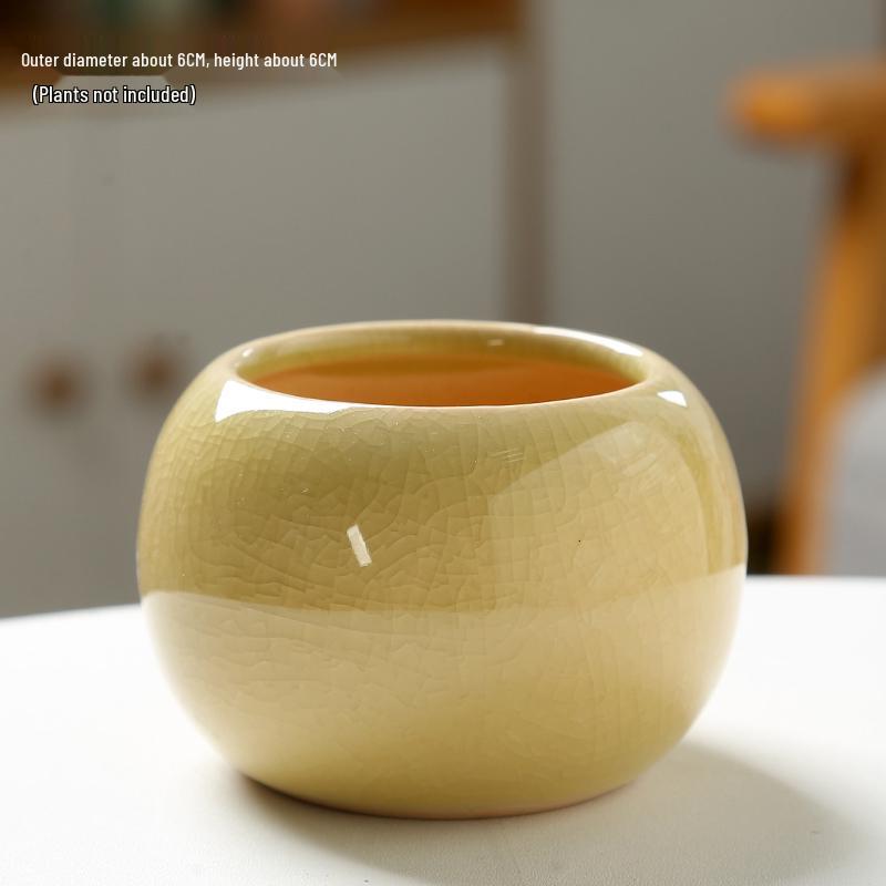 Charming Ice Crack Ceramic Succulent Pot - Small, Cute Desktop Cartoon Decor